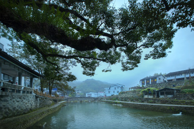 诗画乡村