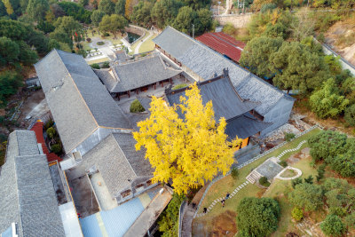 《秋意实际寺》组照2