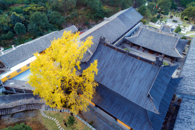 《秋意实际寺》组照3