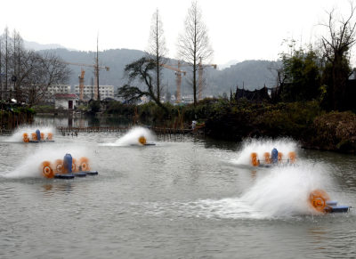 五水共治，美丽家园