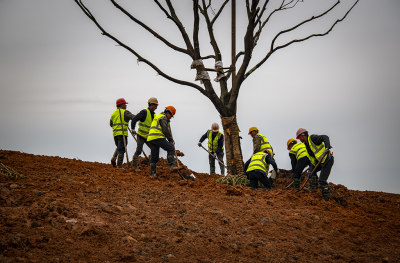 拍于瓯江口公路绿化带改造,工人们加快施工现场