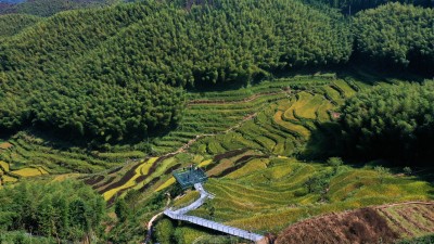 《泽雅新田园》彩色梯田