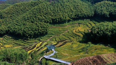 《泽雅新田园》彩色梯田