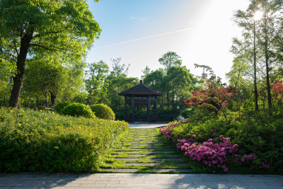  宜居新城（组照之三）