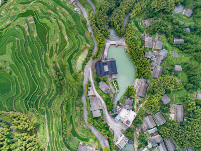 上潘垄夏日风情