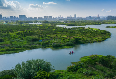 三垟湿地3
