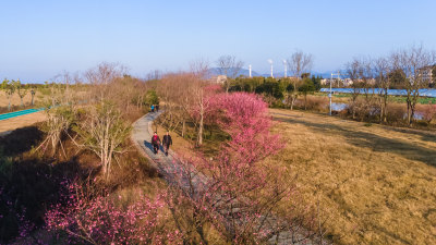 梅园3