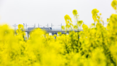 穿越繁花盛景3
