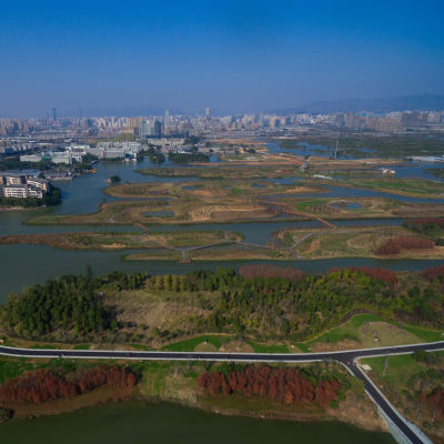 三垟湿地5