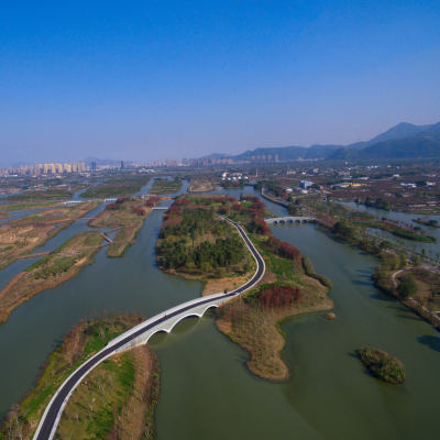 三垟湿地6