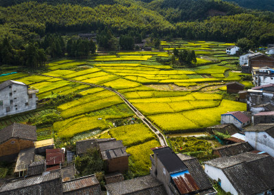 田间丽舍（胡担村）