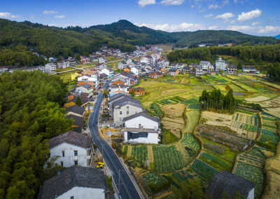 田间丽舍（胡担村）