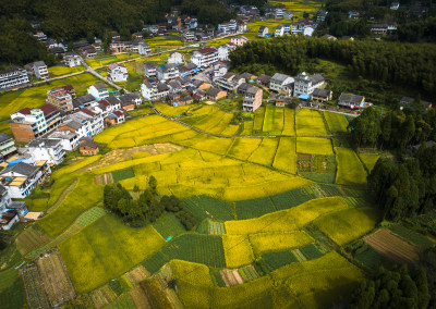 田间丽舍（胡担村）