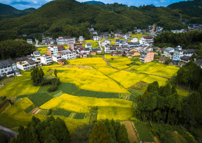 田间丽舍（胡担村）