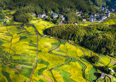 田间丽舍（胡担村）