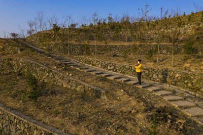 拍摄于云岭乡中原村后山山茶园