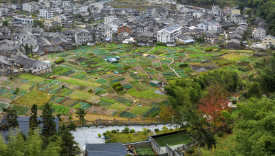林岙村掠影
