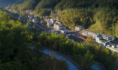 荷塘岸色 （西岸村貌全景）