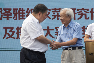 纸山文化名人与区领导握手  授牌