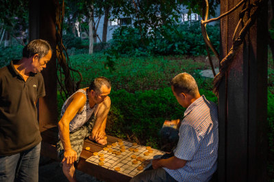 下象棋的地方由村口的大榕树转到了公园