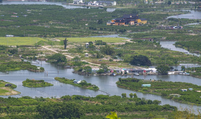 三洋湿地风光
