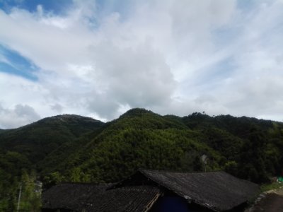 我眼中的泽雅-泽雅的山（黄坑）组图6-1