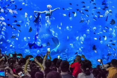 温州海洋极地世界