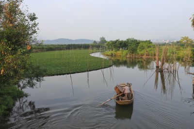 小船悠悠