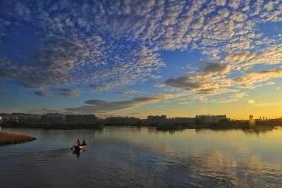 湿地晨曲