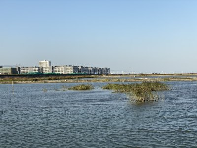 沧海变桑田3