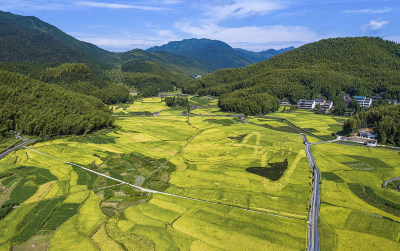 《北林垟美丽田园》