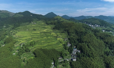 《绿水青山》