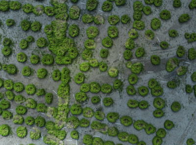《海涂上图案》