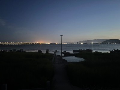 南堤夜色组照之三（废弃电柱，船只灯烛，孤寂绝美。）【2021年7月21日灵昆南堤苹果12手机摄影】