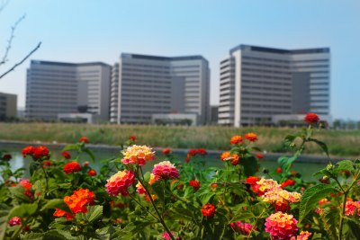 组照（二）远眺住院楼