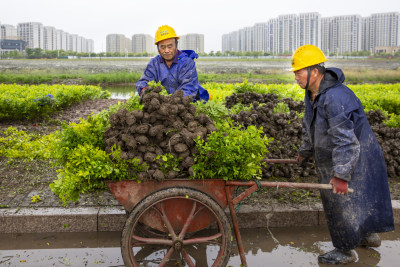 《筑梦新区》组照3