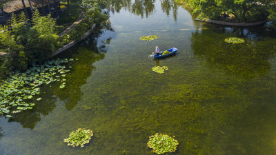“水下森林”赋能生态治水 组照3 瓯海区温州生态园瑶池浃河，河道保洁员在打捞漂浮物。