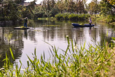 “水下森林”赋能生态治水 组照6 瓯海区温州生态园瑶池浃河，河道保洁员在打捞漂浮物。