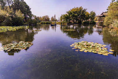 “水下森林”赋能生态治水 组照5 瓯海区温州生态园瑶池浃河，河道保洁员在打捞漂浮物。