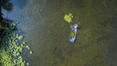 “水下森林”赋能生态治水 组照4 瓯海区温州生态园瑶池浃河，河道保洁员在打捞漂浮物。