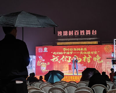 雨中情  艺术美（4）