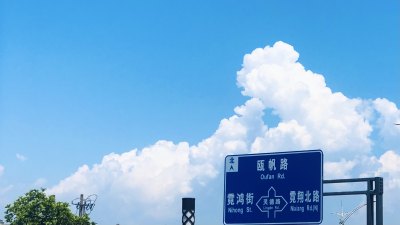 组图七