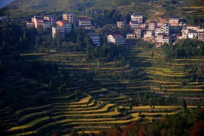 风吹道花香山岙