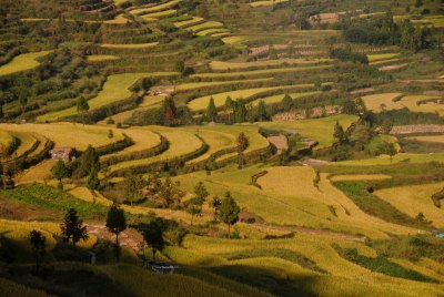 风吹道花香山岙