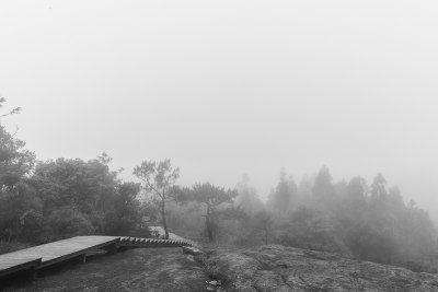 只身一人返程时一路空空，仍然弥雾蒙蒙