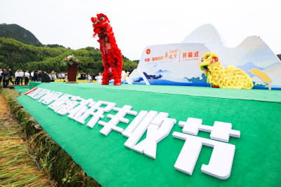 组照之二：近景突出丰收节，背景是舞狮展示喜庆气氛。