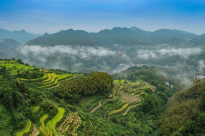 垟坑村云雾美景3