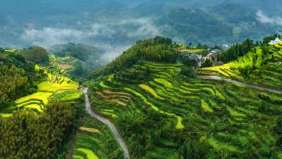 丰收在望言章村美景3