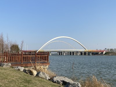 瓯江口跨河彩虹桥