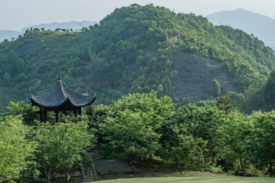 4美景